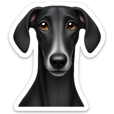 Black galgo with weite snoot sticker