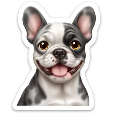 Bouledogue français merle  sticker