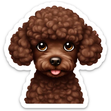 Chocolate brown toy poodle  sticker