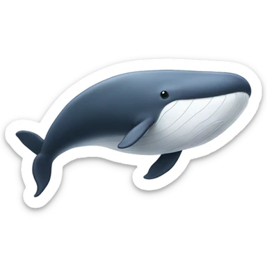 white whale , underside sticker