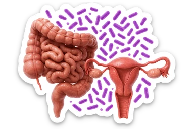 intestino umano anatomico realistico accanto ad un utero umano anatomico realistico, dietro i due organi fluttuano batteri intestinali con questo colore: #971ef1, iperrealistico 4k
isolata su sfondo bianco sticker