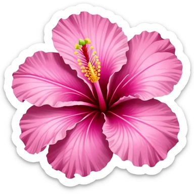 Pink hibiscus flower sticker