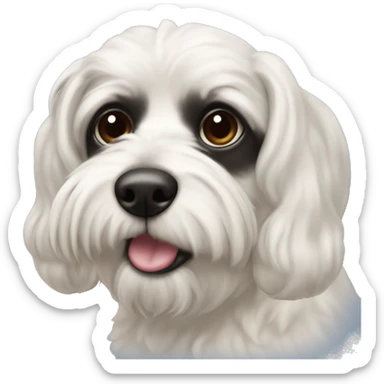 malteese with a big black nose sticker