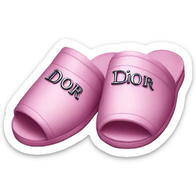 Dior slippers sticker