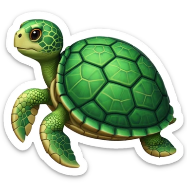 Turtle sticker