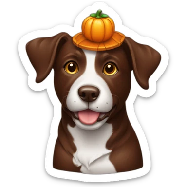 A chocolate doodle dog with a jack on lantern on its head sticker