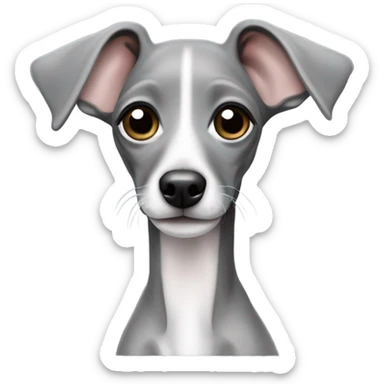 Cute Italian greyhound puppy all solid grey  sticker