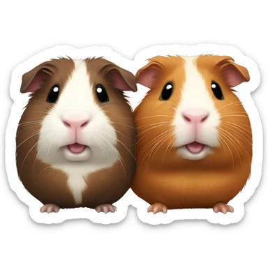 Two Guinea pigs: One brown Guinea pig and one multicolored fat one sticker