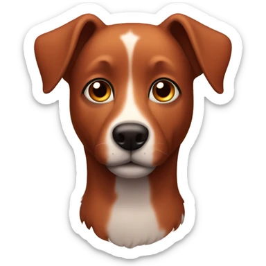 Red healer dog with big brown eyes and eyelashes  sticker
