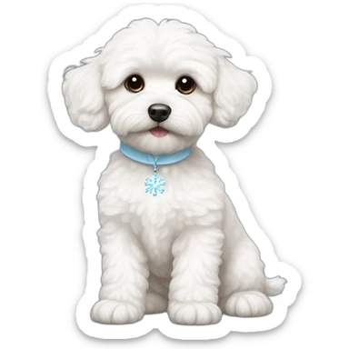white maltipoo with a light blue snowflake on the nose sticker