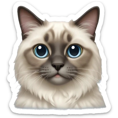 ragdoll shorthair cat sticker