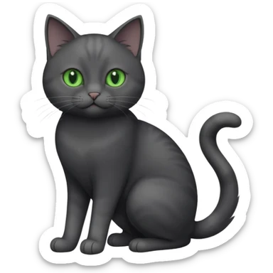 full body gorgeous solid dark grey cat with green eyes, white paws and white whiskers playing sticker