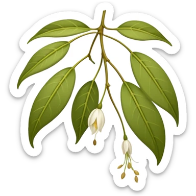 wilted jasmine sticker
