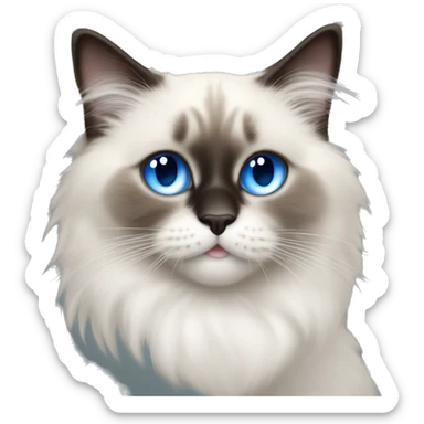 Ragdoll cat drinking soda and the middle of his face should have black and it shoul be male baby cat and blue eyes sticker