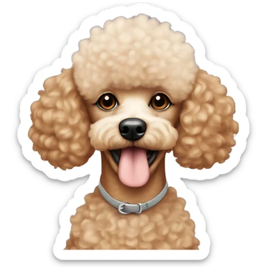 A apricot mini poodle with a white fur spot under his mouth  sticker