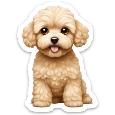tan maltipoo sticker