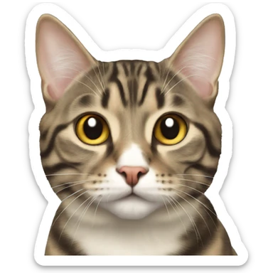 American bobtail  sticker
