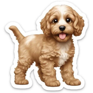 Cavapoo puppy sticker