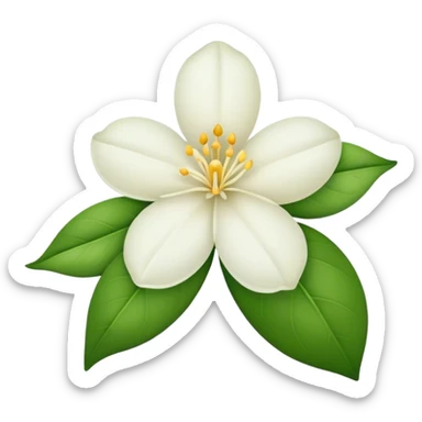 Jasmine Flower sticker