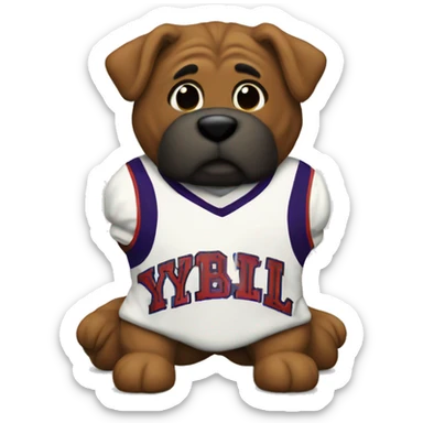 Jersey that says y v l sticker