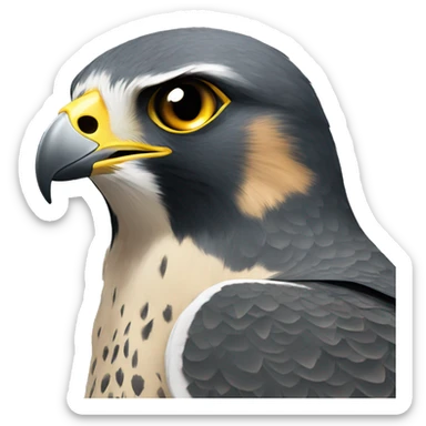 peregrine falcon with ht sticker