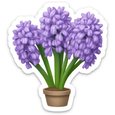 light purple hyacinth sticker
