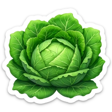 cabbage sticker