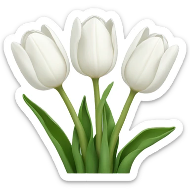 White tulips sticker