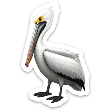 Pelican on a dock sticker
