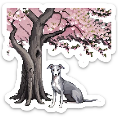 A very beautiful and attractive 25-year-old Chinese woman with long flowing black hair and a pure solid dark grey whippet with ABSOLUTELY NO white markings anywhere on its body sitting under a cherry blossom tree. The whippet must be completely solid dark grey with no white on chest, no white on muzzle, no white on paws - entirely one solid dark grey color. sticker