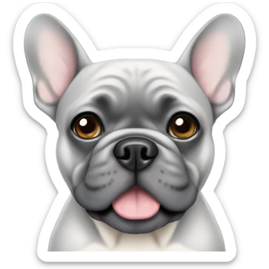 Gray French bulldog with gray eyes sticker
