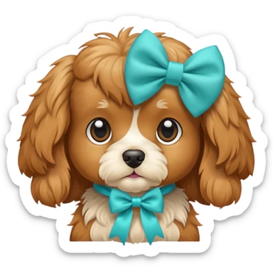 A cavoodle wearing an aqua bow sticker