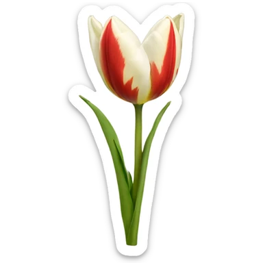 tulipan sticker