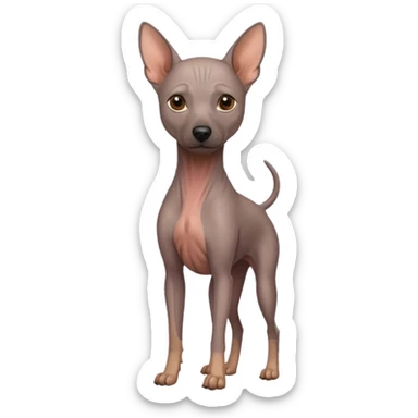 No. 2 Jaguar grown four legs/ No.2 Mexican Hairless Dog sticker