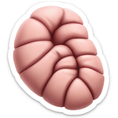 “A detailed image of a human stomach, showing its curved shape, inner folds, and a natural pinkish color.” sticker