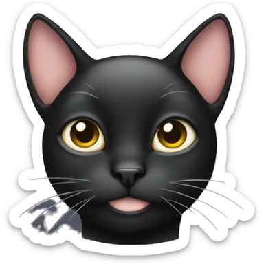 Black cat with white tummy sticker