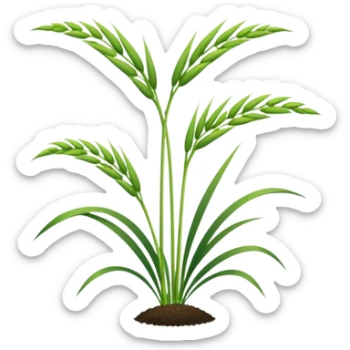 rice plant sticker