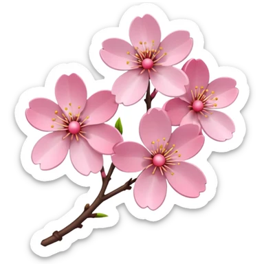 cherry blossom sticker