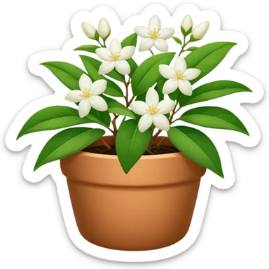 jasmine plant in pot sticker