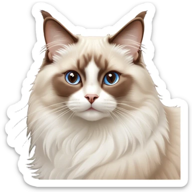 Cinematic Chocolate-Point Ragdoll Cat Portrait Emoji, Elegant and alert, sleek brown and white tones with a distinct white nose, Simplified yet sharp features, highly detailed, glowing with a warm, confident glow, high shine, intelligent and poised, stylized with an air of grace, focused and attentive, soft glowing outline, capturing the essence of calmness and elegance, so lifelike it feels as though it could spring into motion with a gentle, poised presence at any moment! sticker