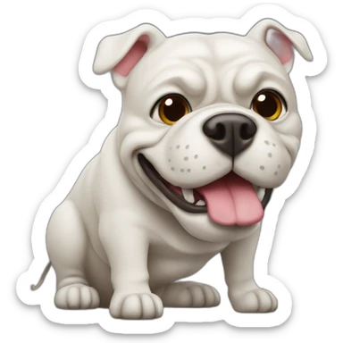 bull-dog sticker