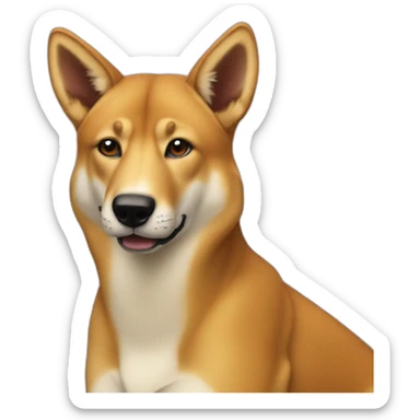 dingo sticker