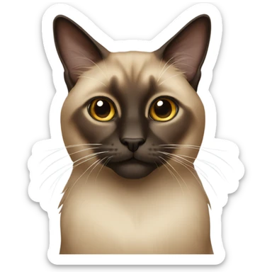 Long hair brown cat Siamese  sticker