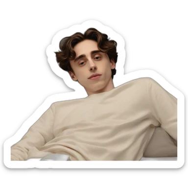 timothee chalamet laying back, soles of feet towards camera sticker