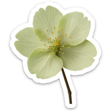 show  one green cherry blossom, remove background sticker