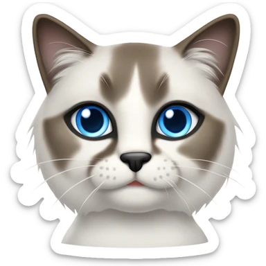 Snowshoe cat sticker
