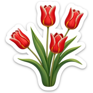 🌷Five much Tulip on white color sticker