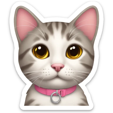 Gato naranja con collar rosa que diga kira tierno  sticker