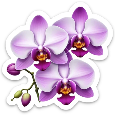 Orchids sticker
