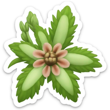 flower similar to cannibas sticker